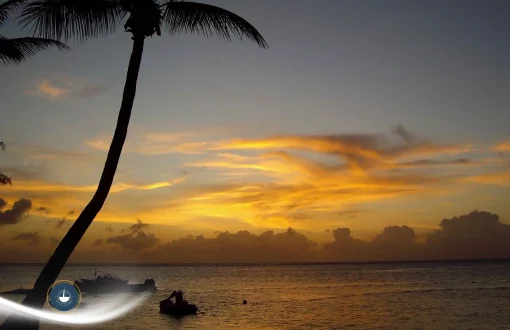 Atardecer tropical sobre el mar con una palmera inclinada en primer plano, aguas tranquilas y nubes iluminadas por tonos dorados y anaranjados en el horizonte, Cholón en yate desde Cartagena: qué es y qué esperar navega colombia